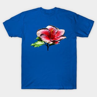 Hibiscus - Hibiscus Night Fire T-Shirt